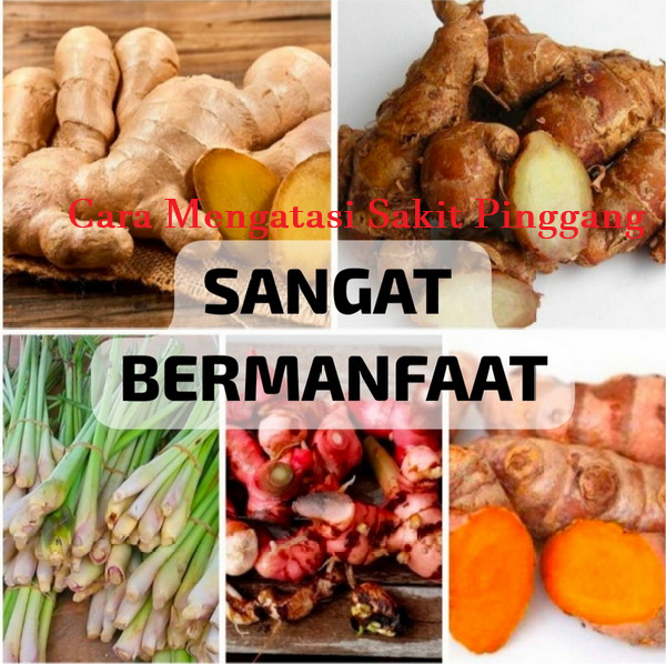 cara mengatasi sakit pinggang